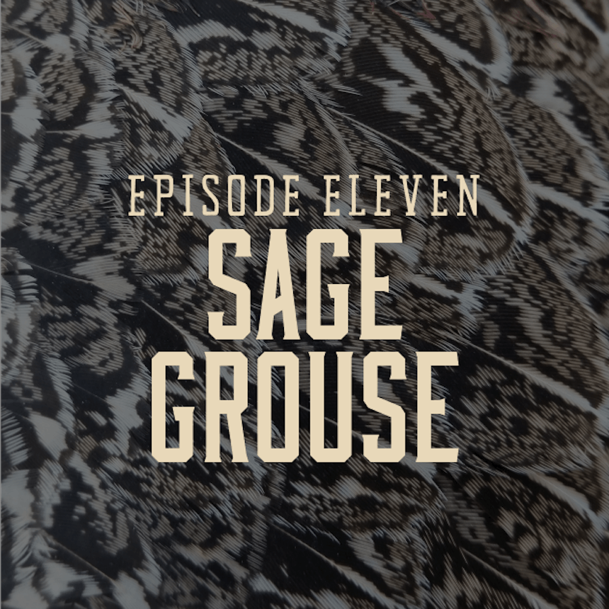 hgt-sage-grouse-cover