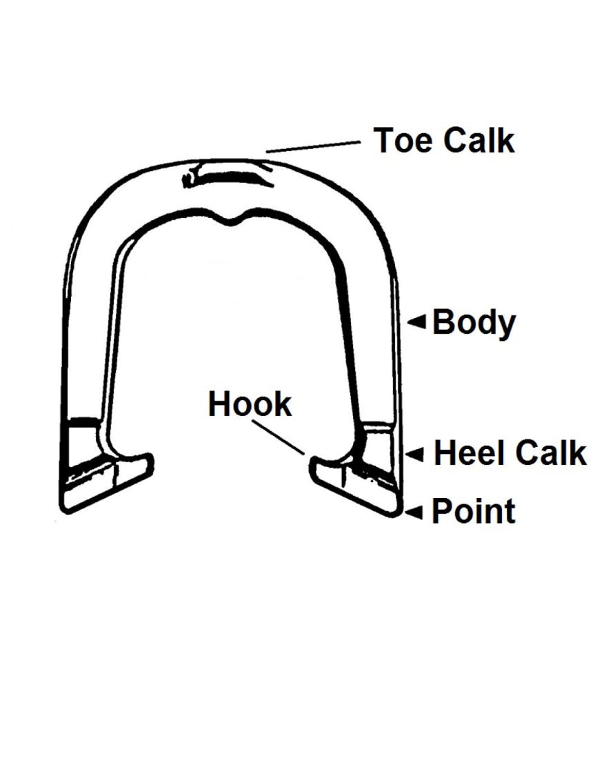 illustration of the anatomy of a horseshoe