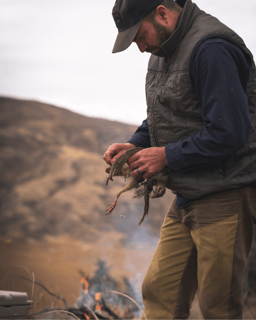 man de-feathering a chukar