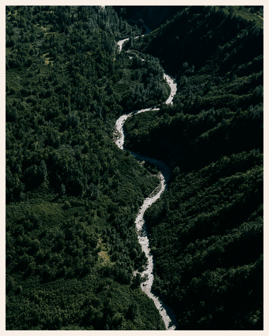 a thin river snaking its way through lush pine forest