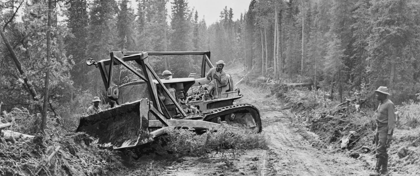 group of men working on clearing a path with a bulldozer in a pine forest