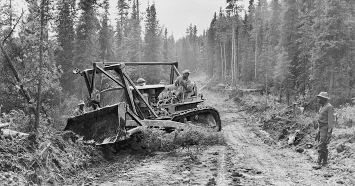 group of men working on clearing a path with a bulldozer in a pine forest