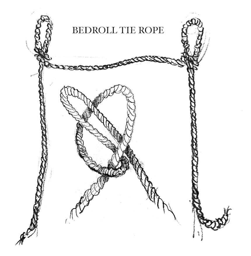 illustration detailing a