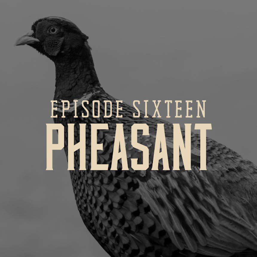 Black and White image of pheasant in profile with text: Episode Sixteen Pheasant