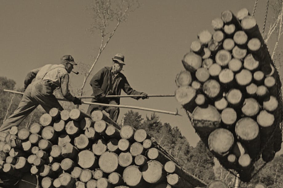 loggers standing on pile of cut trees guide hanging bundle of logs toward them with poles