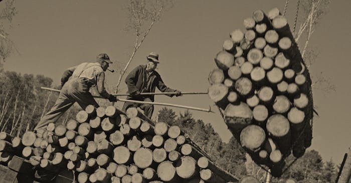 loggers standing on pile of cut trees guide hanging bundle of logs toward them with poles