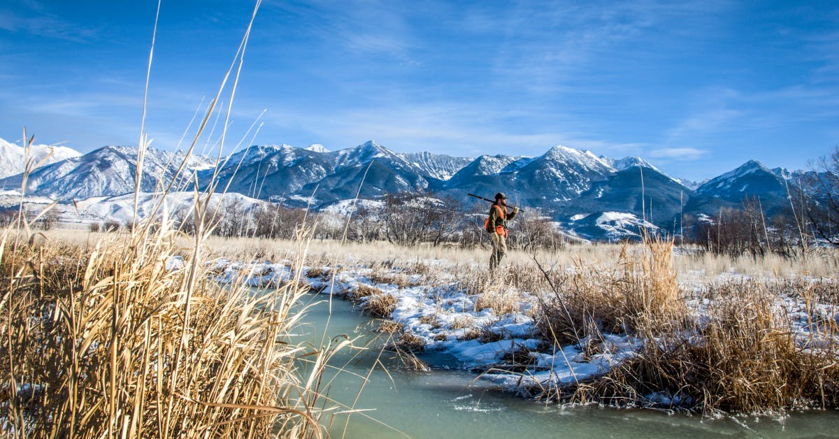 Hunter in high visibility vest with shotgun walking through snowy grassland with river with mountain backdrop