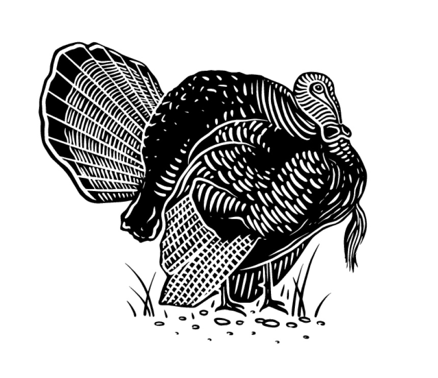 black and white etching style graphic of Turkey