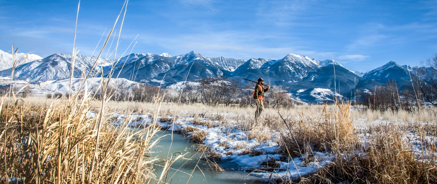 Hunter in high visibility vest with shotgun walking through snowy grassland with river with mountain backdrop