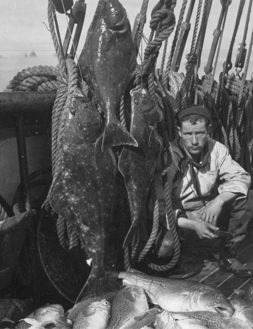 black and white image of a sailor in antiquated fisherman uniform crouched next to three hanging fish on the deck of a boat