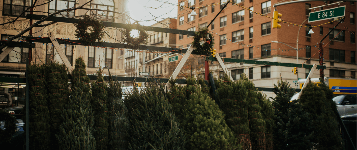 christmas tree lot on 84th street in manhattan