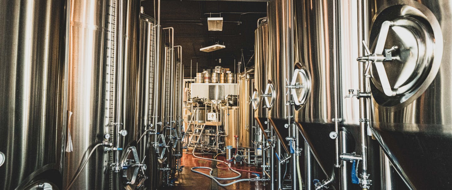 two rows of large stainless steel brewing vessels