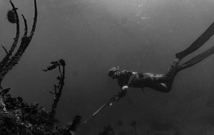 person swimming underwater with large flippers and a harpoon gun