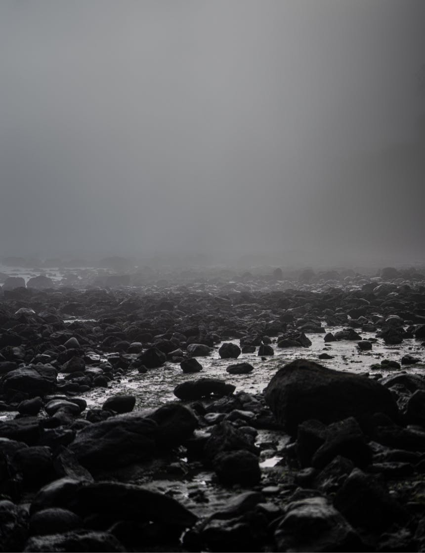 black rocks on a foggy beach stretching away to the horizon