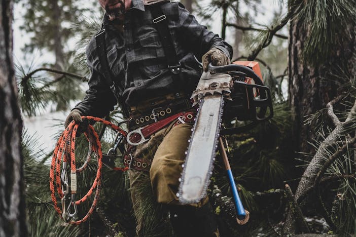 person holding a large chainsaw in one hand and a coil of rope in the other in a pine forest