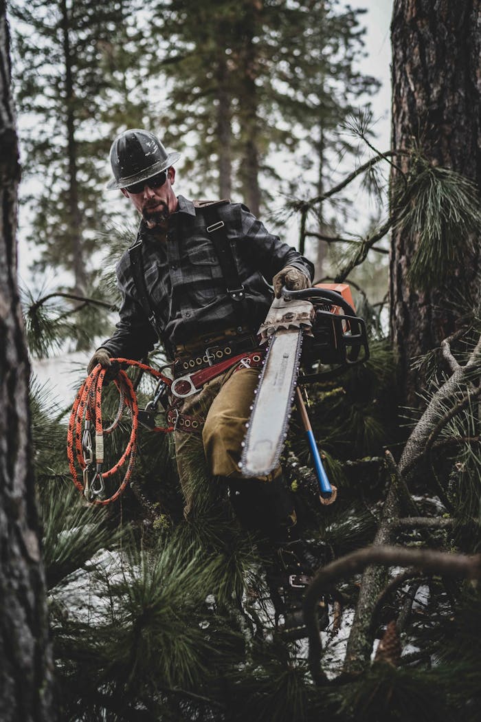 person holding a large chainsaw in one hand and a coil of rope in the other in a pine forest