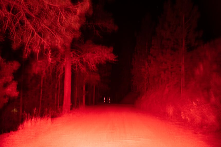 red blurry surreal image of a forest and dirt road at night