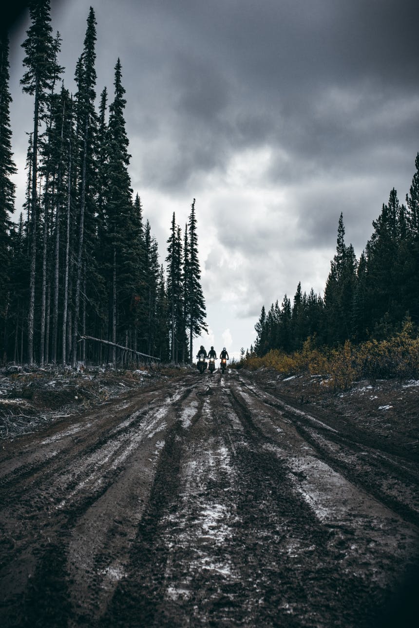 three people riding motorcycles down a dirt road in a pine forest