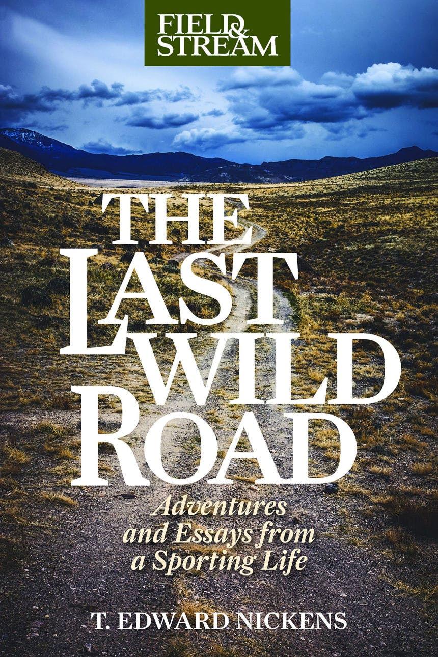 Book cover for The Last Wild Road.