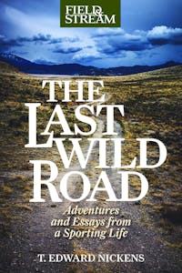 Book cover for The Last Wild Road.