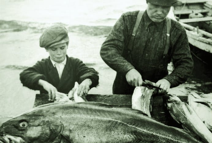 Archival image of a father and son filleting a fish.