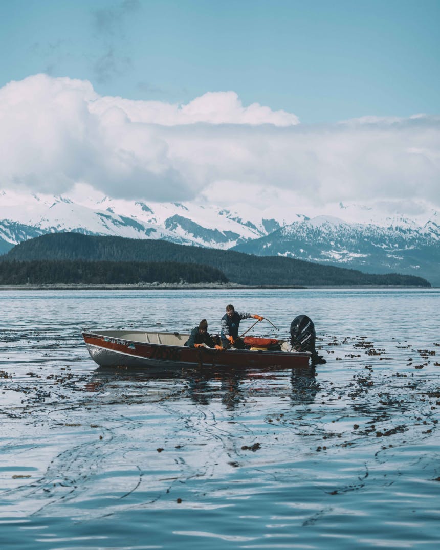 Boat in ocean harvesting bull kelp.