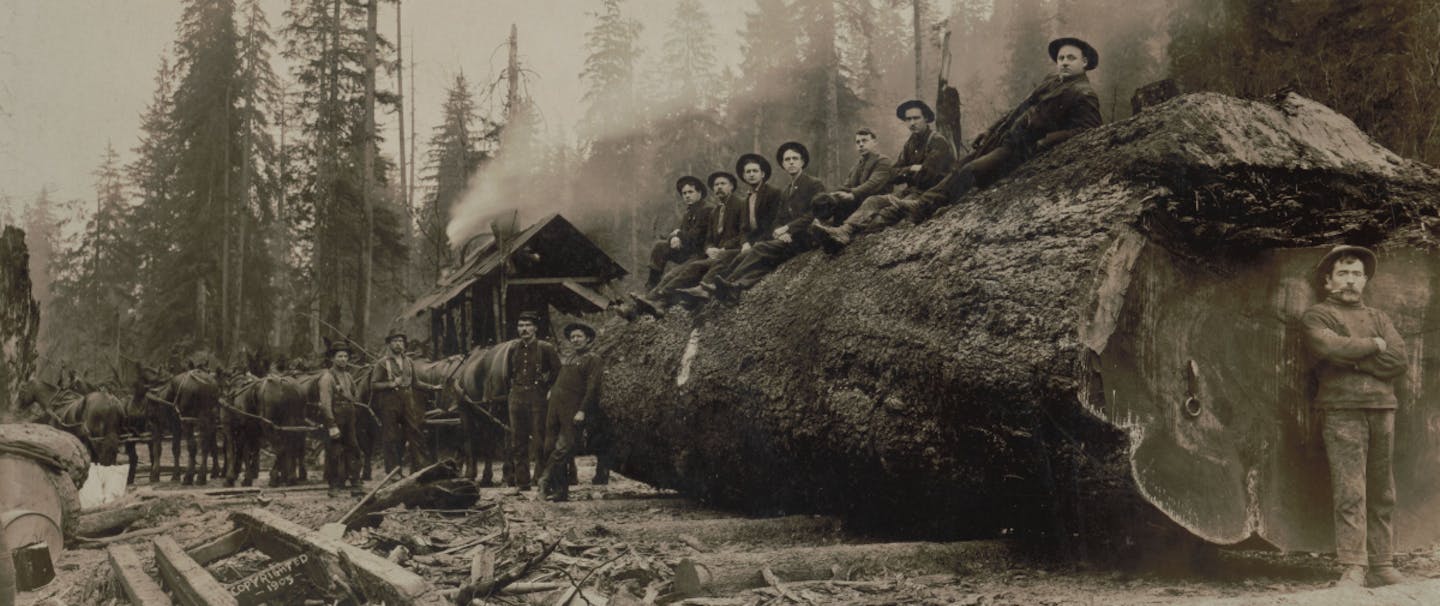 Historical logging photo.