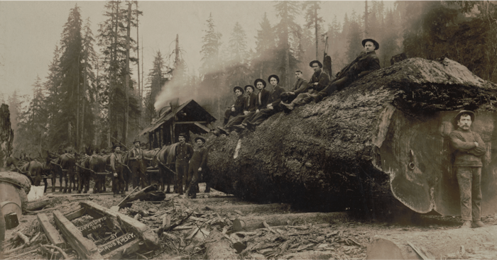 Historical logging photo.