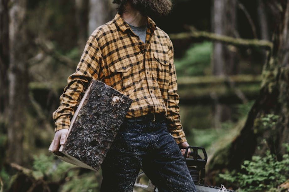 a middle aged bearded white man wearing a yellow flannel shirt, dark jeans and a green hat holding a block of wood and a chainsaw looking up at a tree to assess it