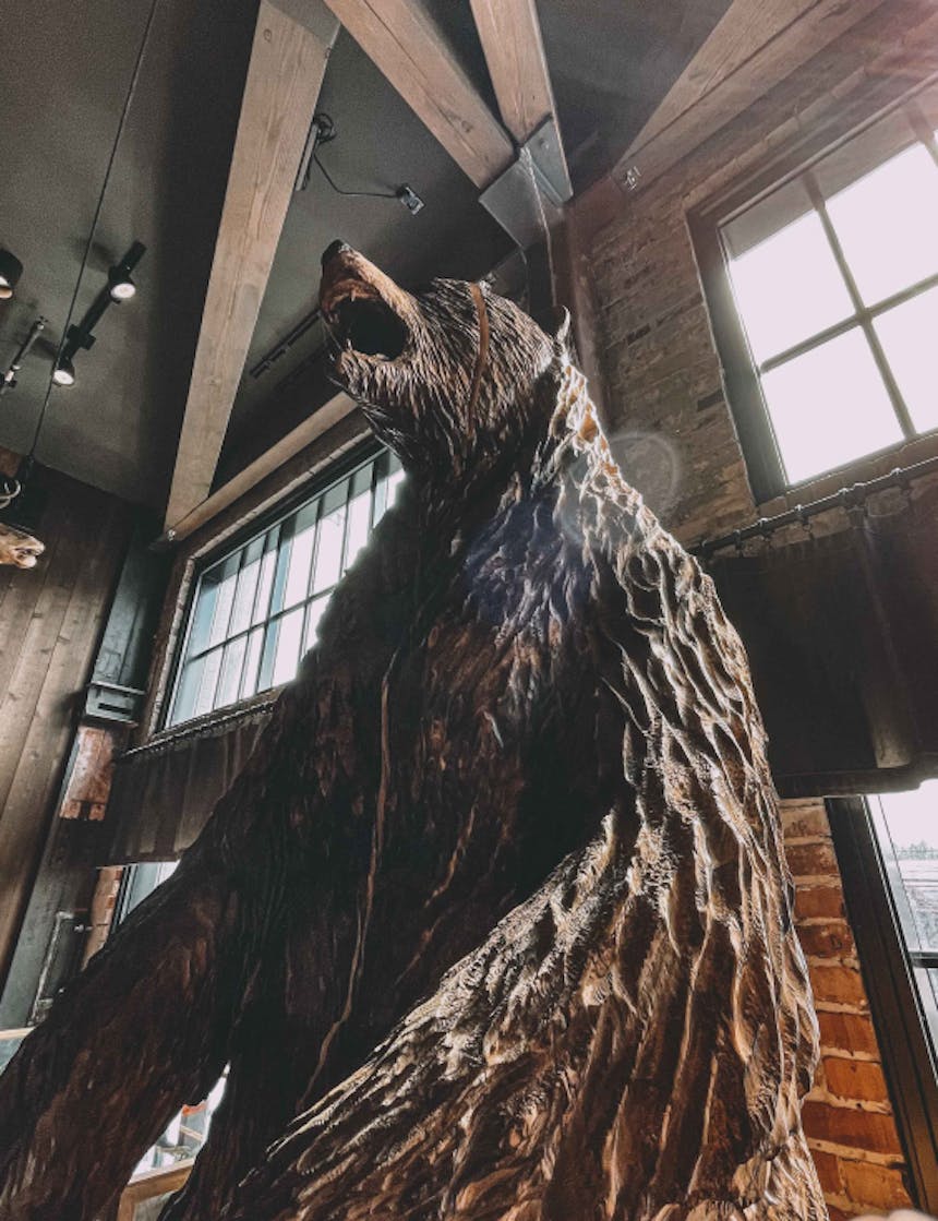 a bottom up view of a finished wood carving of a bear roaring inside a retail store entrance
