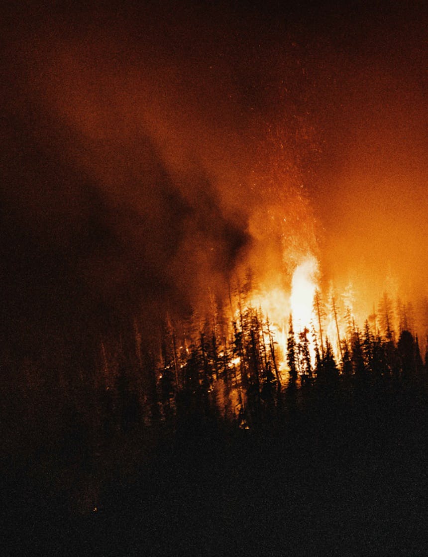 night image of flames raging through a forest