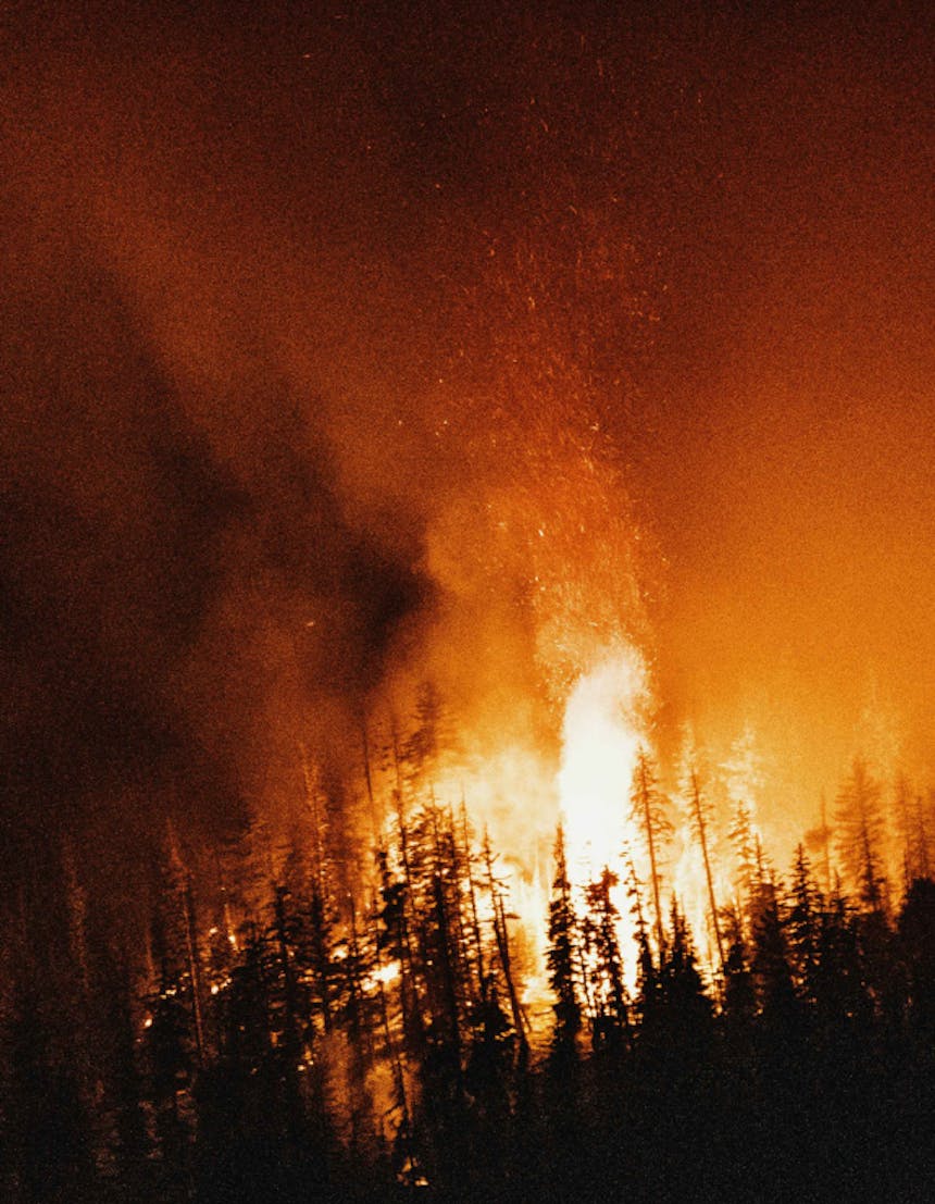 night image of flames raging through a forest