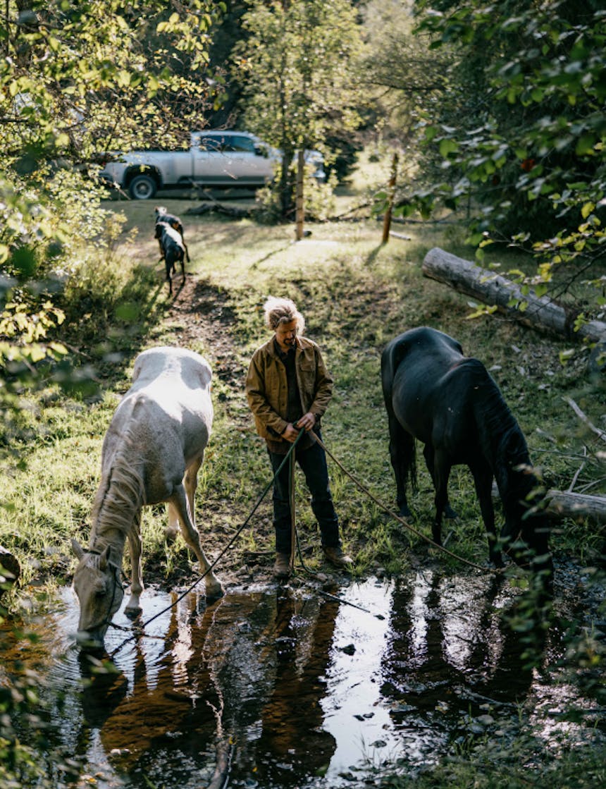 a man standing next to a large puddle where he holds two lead ropes for a black and white horse drinking as two dogs walk behind him towards a grey pickup truck