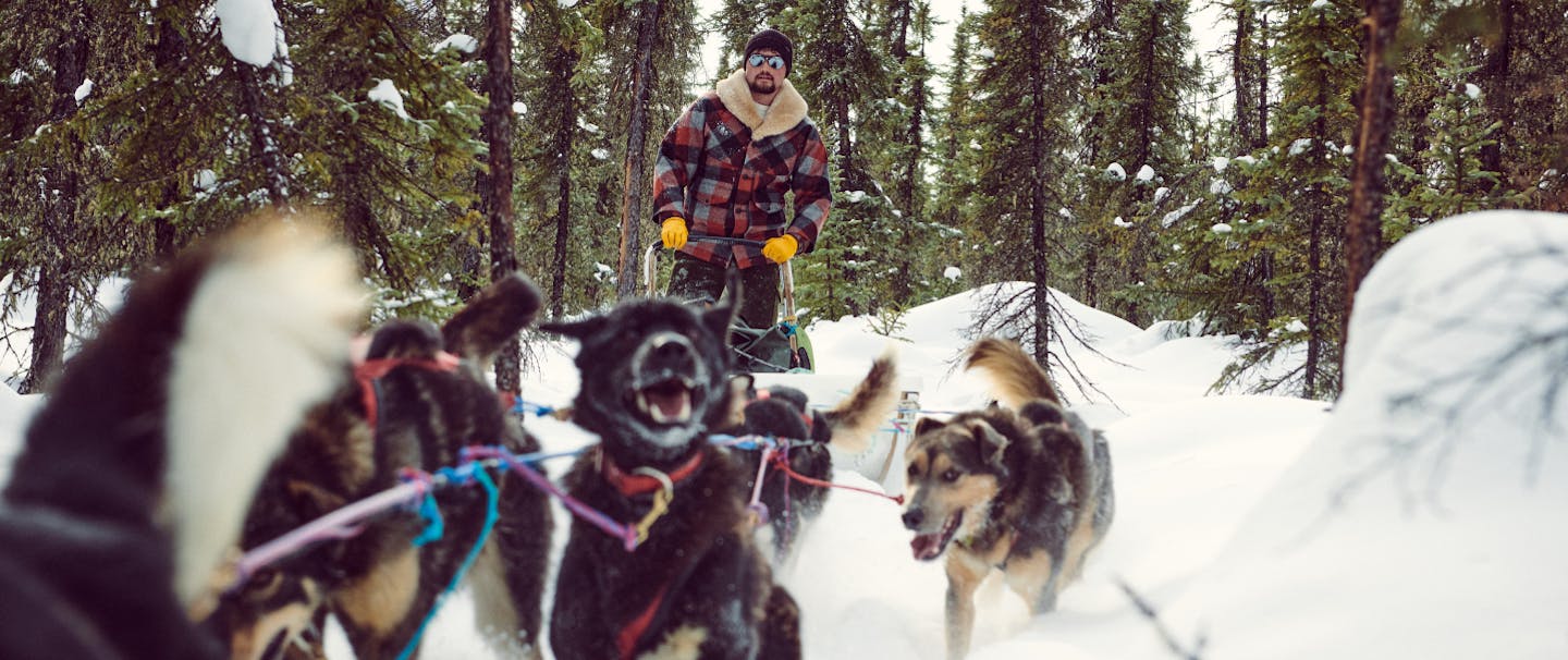 a dog sled team charging ahead towards the camera with the musher standing on the back of the sled