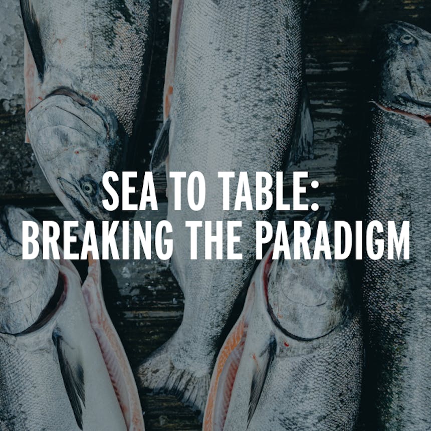 a close up of five salmon laying on a dock with some ice underneath them, text overlay reading, SEA TO TABLE: BREAKING THE PARADIGM