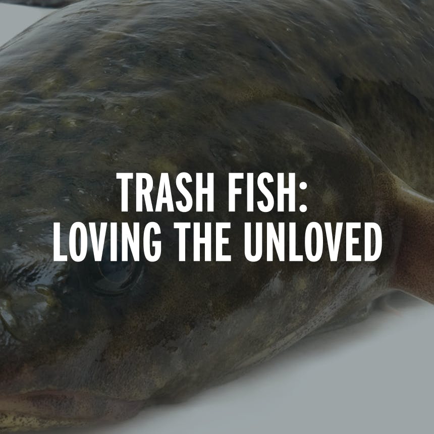 a close up image of a fish with text overlay reading, TRASH FISH: LOVING THE UNLOVED