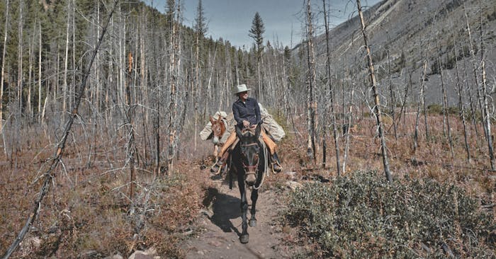 Woman on horseback in the wilderness