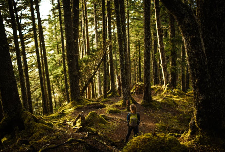 a blonde haired woman wearing hiking gear standing in a forest looking off into the distance