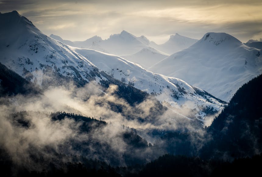 vast landscape areal shot of snowcapped mountains in the distance and misty tree cover peaks in the foreground
