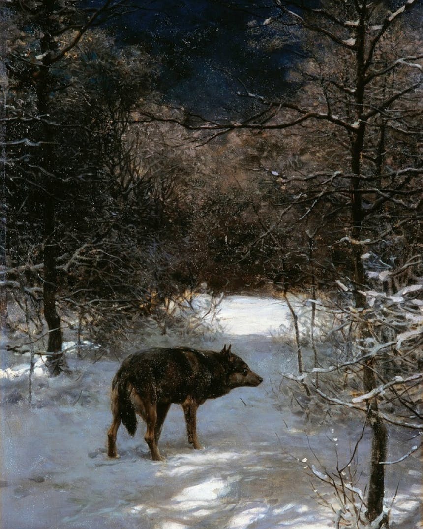 Paiting of wolf in forest