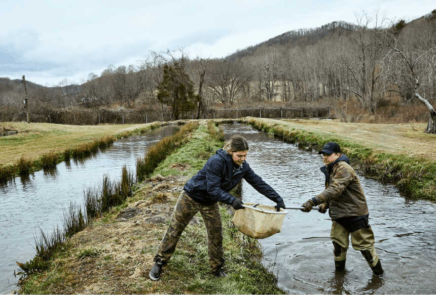 Revival of a Trout Hatchery_2