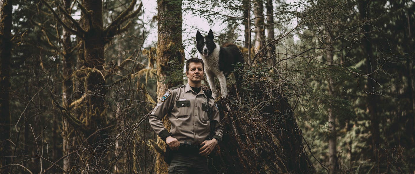 man wearing a US forest service attire standing next to a black and white dog perched on a high stump