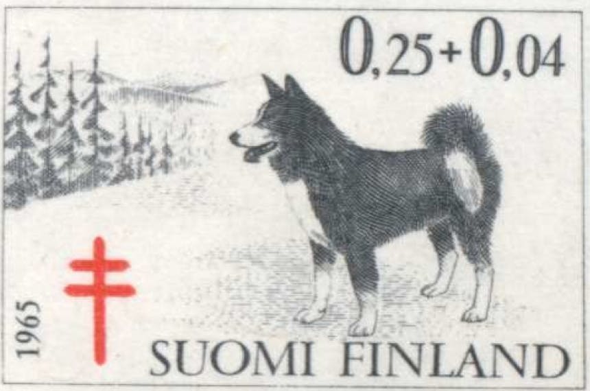 historic image of a black and white dog, reading Suomi Finland