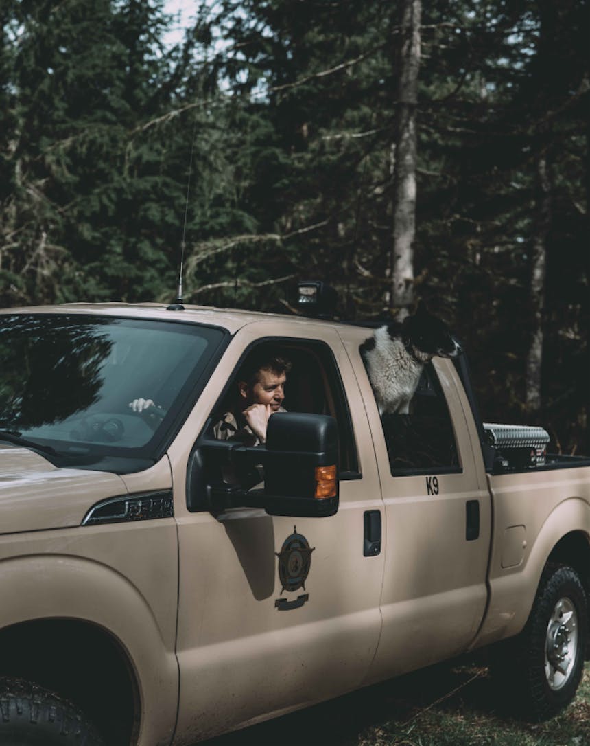 man driving a tan truck on a forest service road as a black and white dog looks out the back window