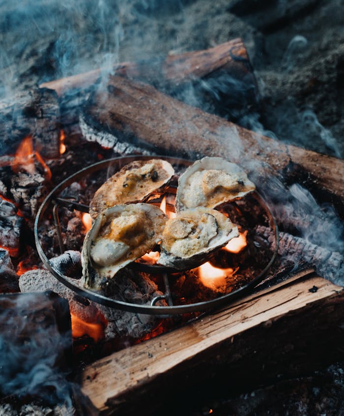 oysters on a campfire