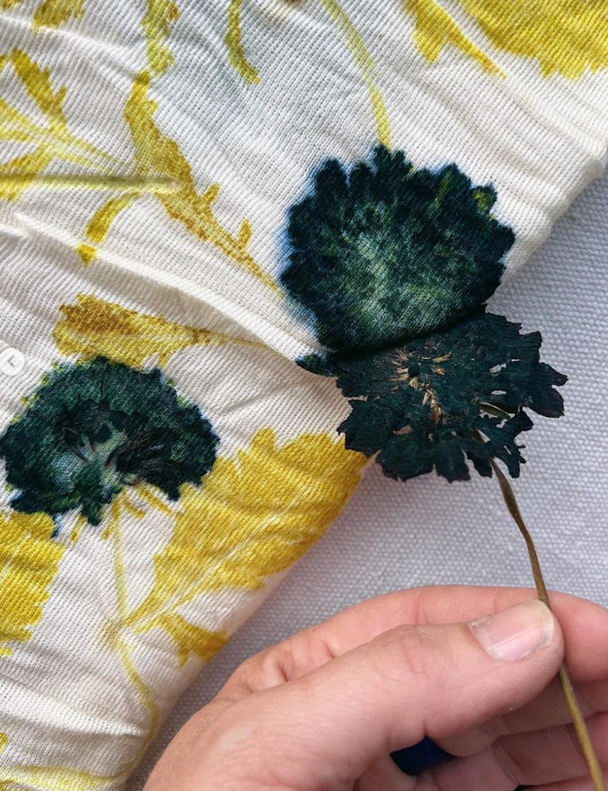 hand peels a plant away from garment