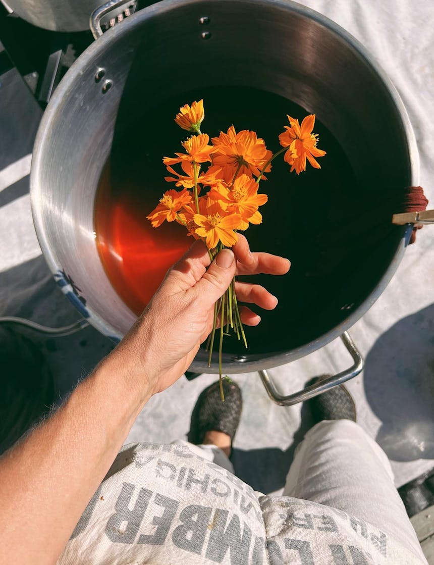 a hand holding flowers above a pot of dye