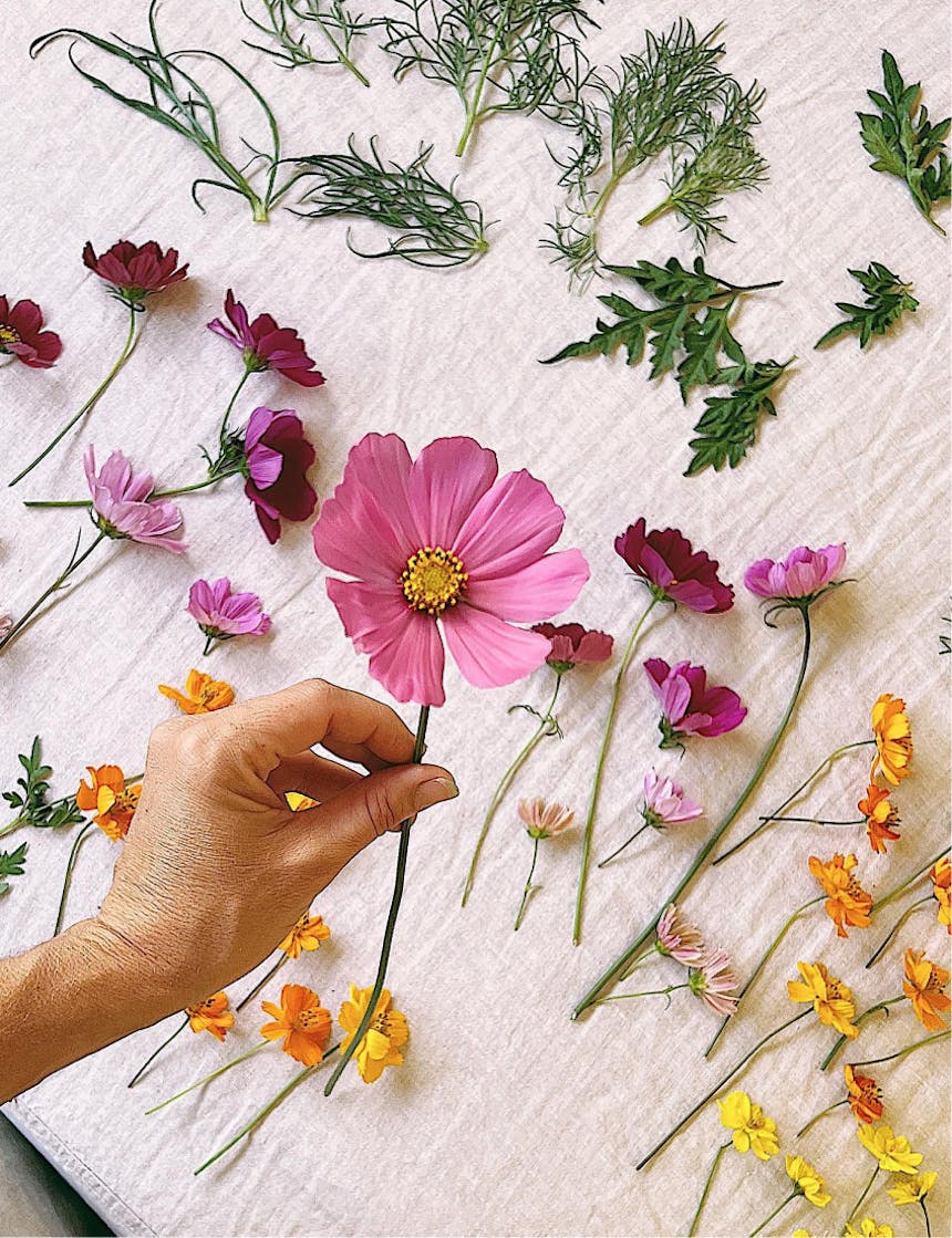 close up of pretty, pink flower with a collection of other pretty flowers arrayed on a table