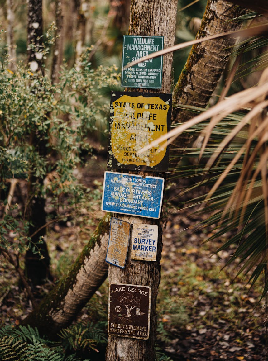 signs in the woods