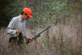 Maine Bird Hunting